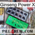 Ginseng Power X new04